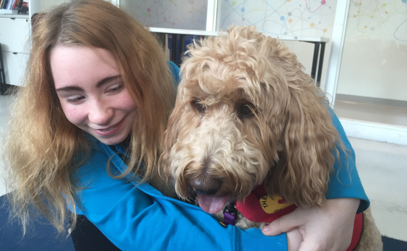 High school students get some four-legged exam stress relief